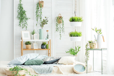 A Guide to the Different Styles of Interior Design: Plants Edition
