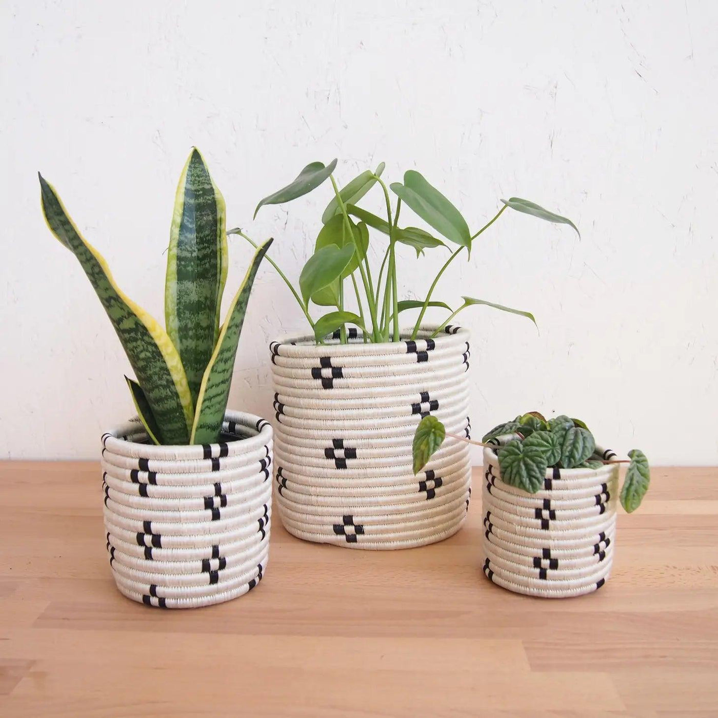 Storage Plant Basket - Maraba