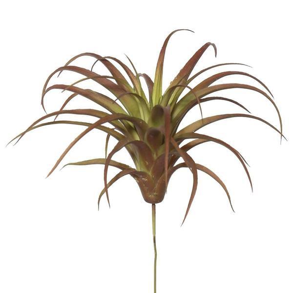 Faux Air Plants