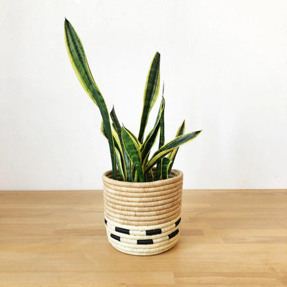 Storage Plant Basket - Mazuru
