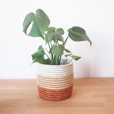 Storage Plant Basket - Juru