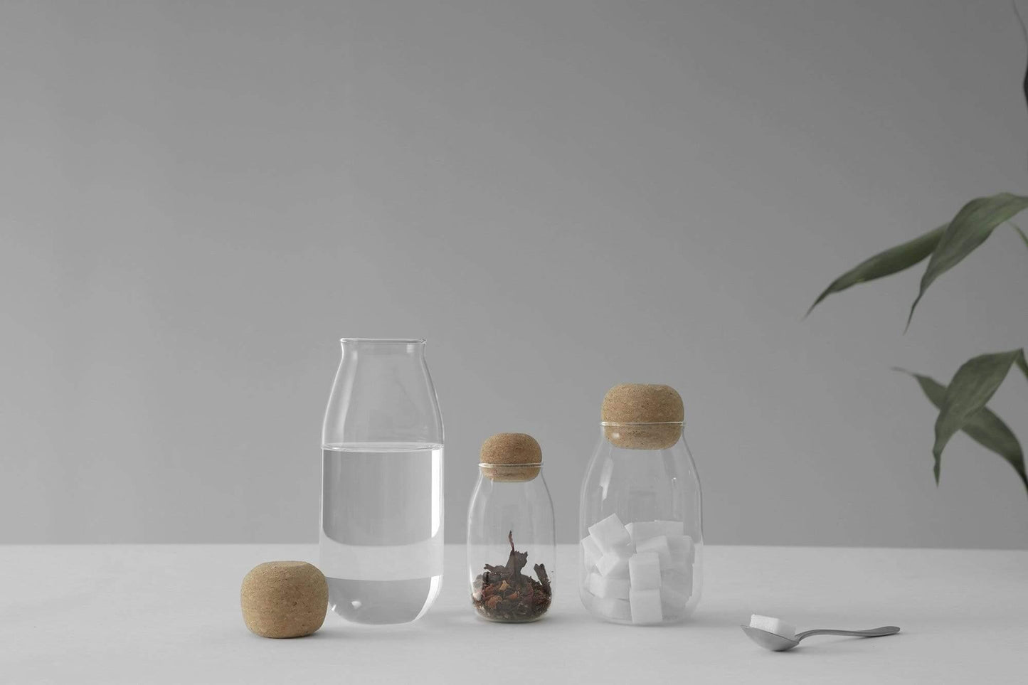 Glass Terrarium with cork lid - 0.2L