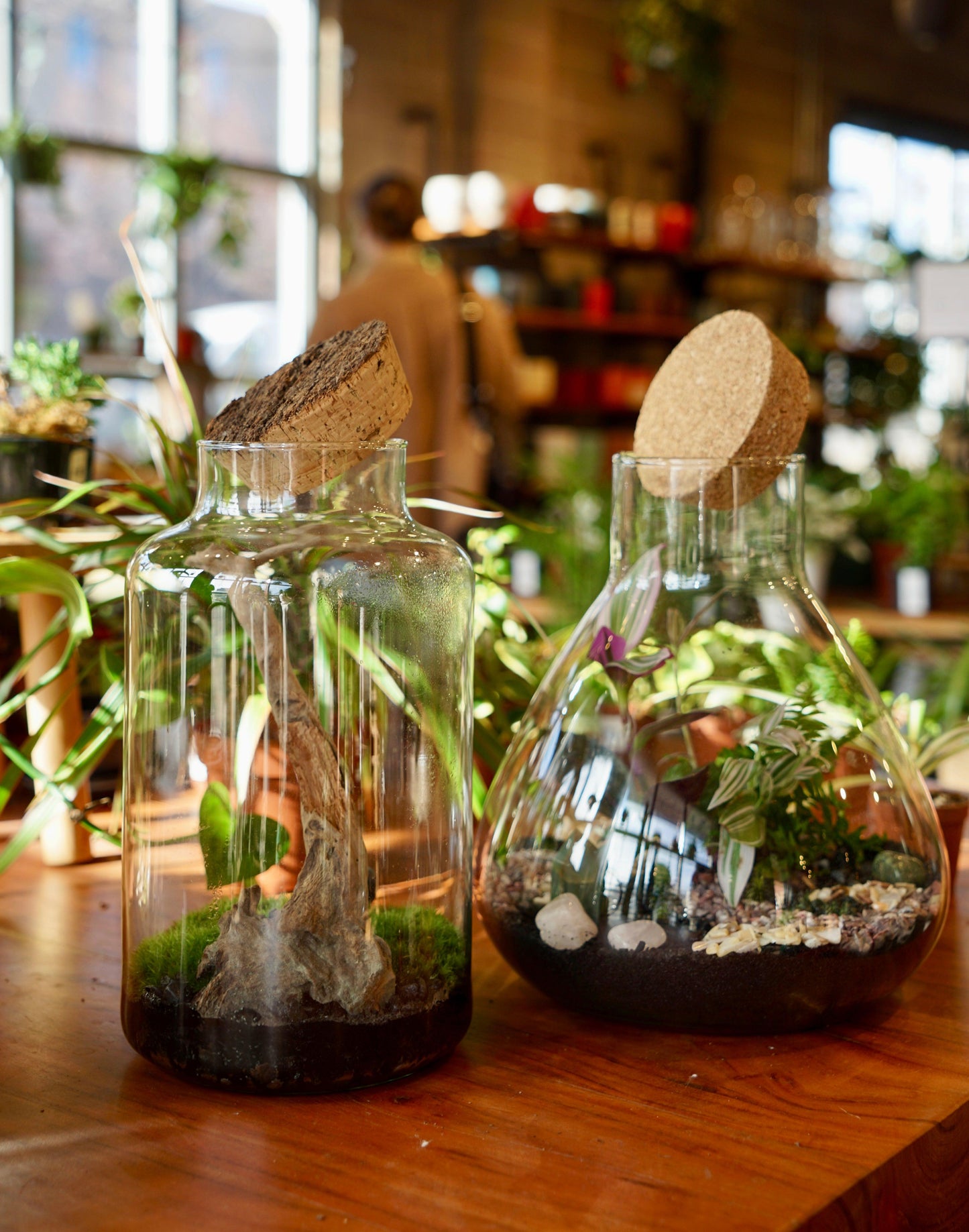 Date Night: Terrarium Building at Terracotta - Friday, May 31st