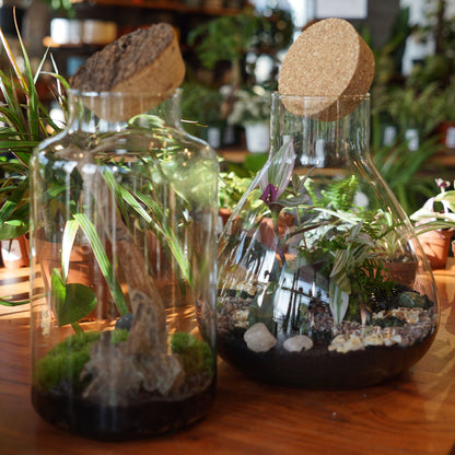 Children (and Children at Heart) Build Your Own Terrarium Workshop - Saturday, May 25th, 2024