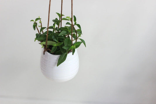 Ribbed White Ceramic Hanging Planter Pot