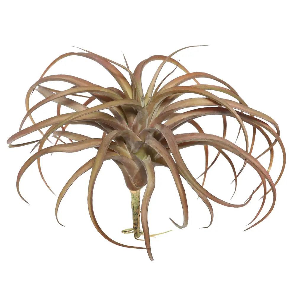 Faux Air Plants