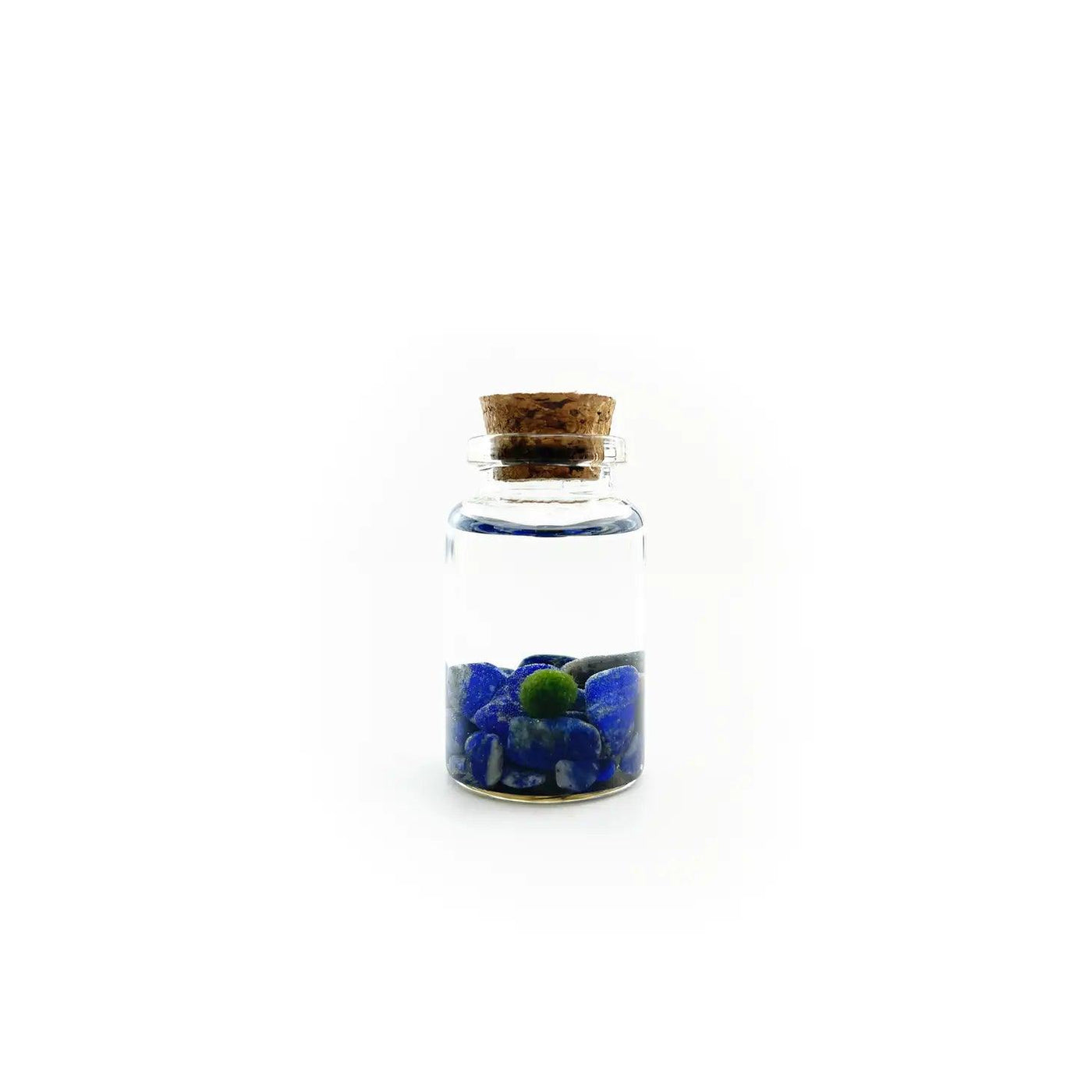Lapis Lazuli Moss Nino