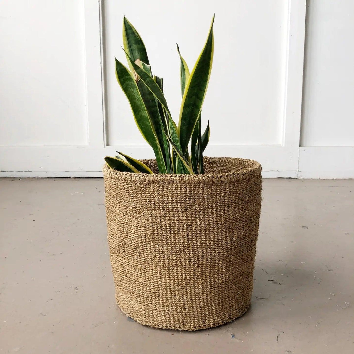 Storage Plant Basket - Acorn