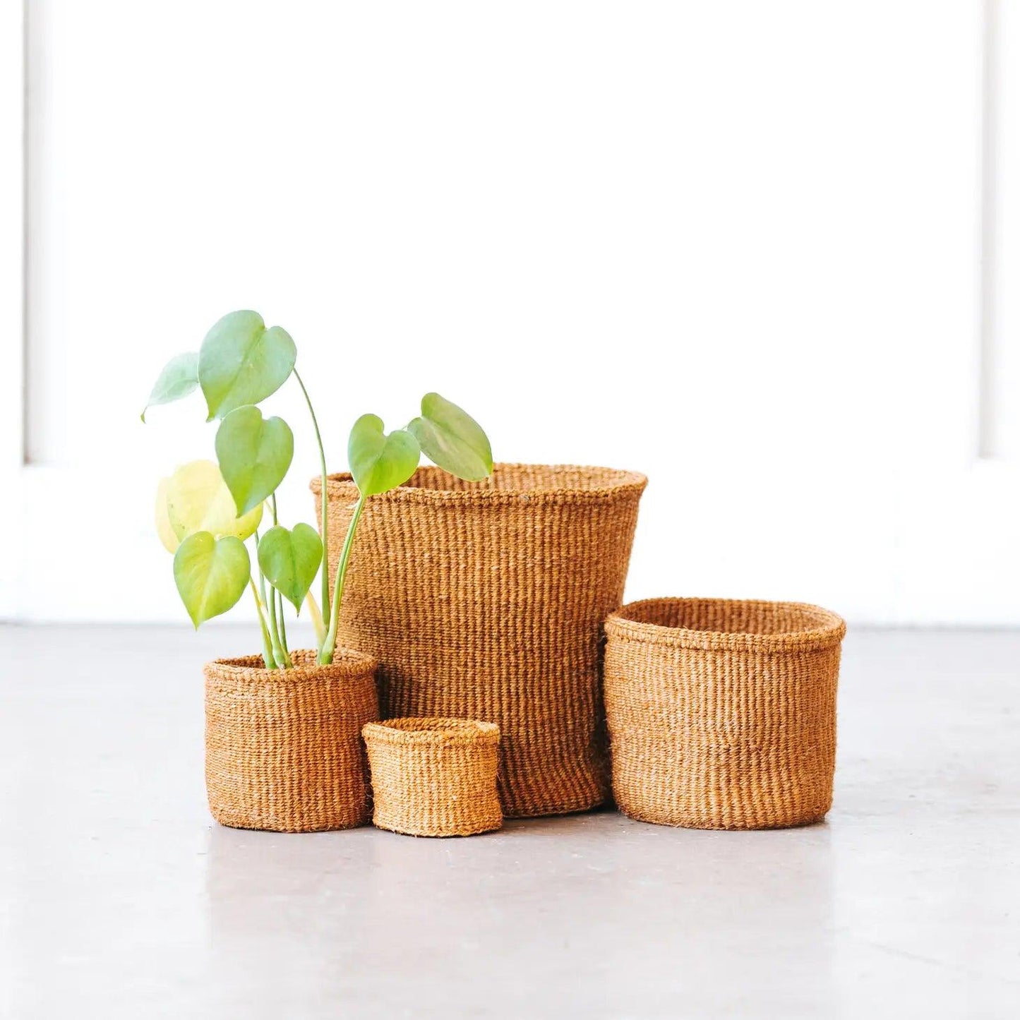 Storage Plant Basket - Ochre