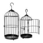 Black Bird Cage