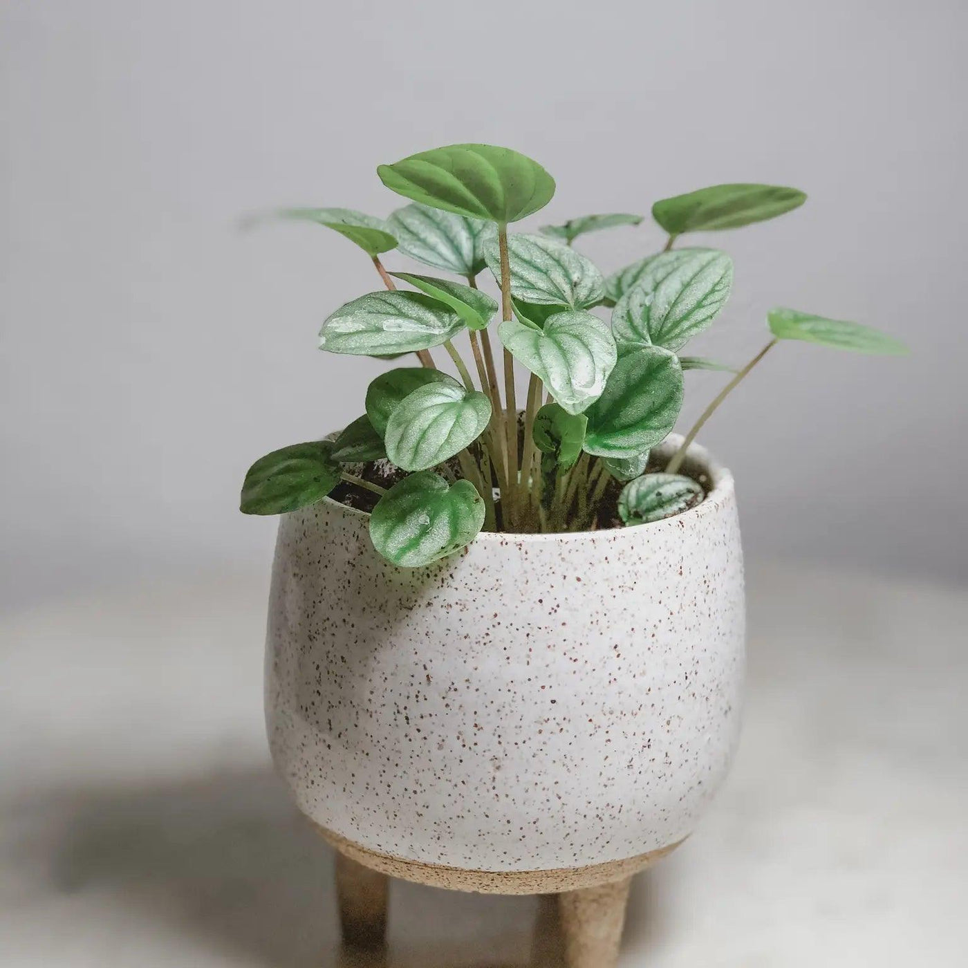 Small Ceramic Tripod Planter