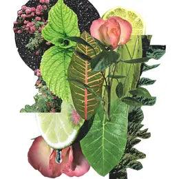 Rose Garden Print