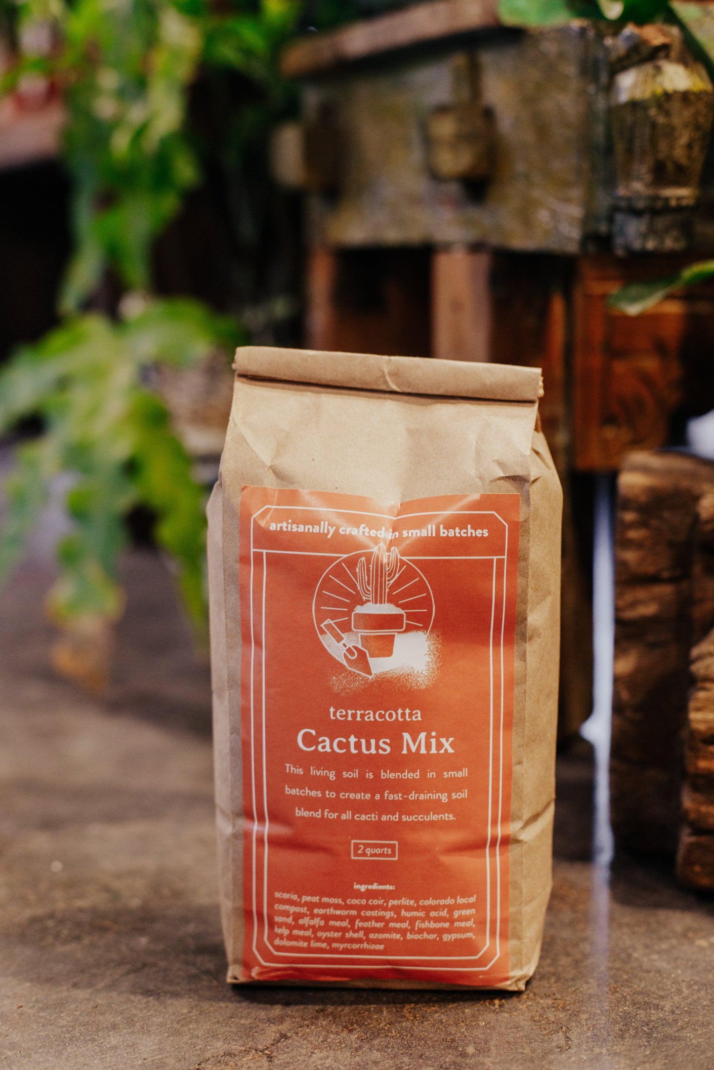 Terracotta Cactus Mix